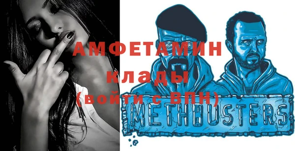 гидра Арсеньев