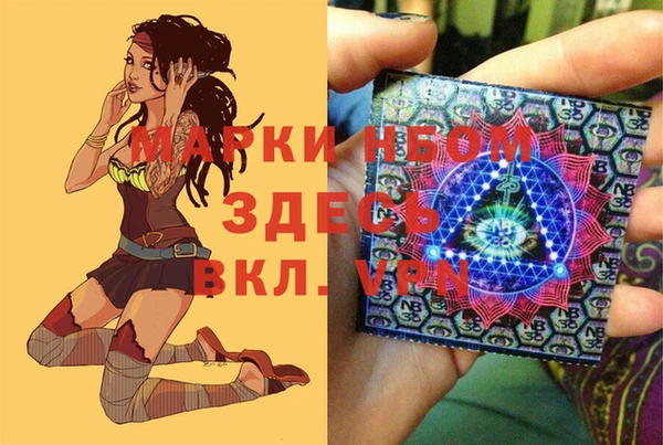 гидра Арсеньев