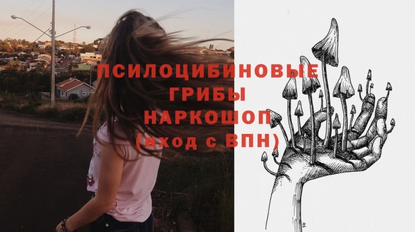 spice Армянск