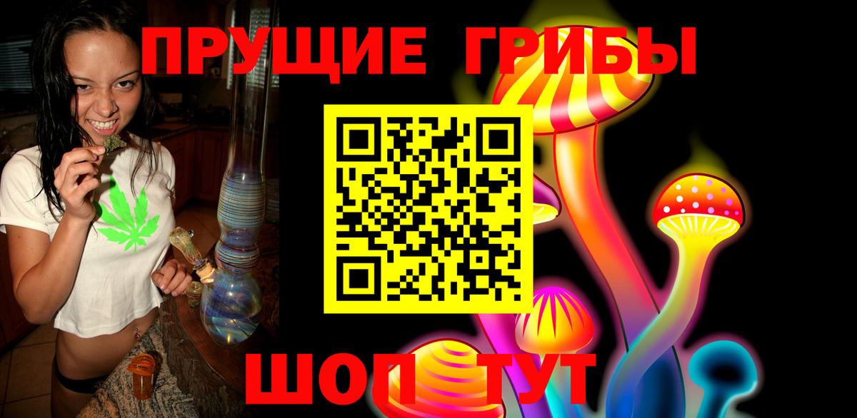 Галлюциногенные грибы Psilocybe  Псилоцибиновые грибы мицелий  Вход с VPN  Пенза 