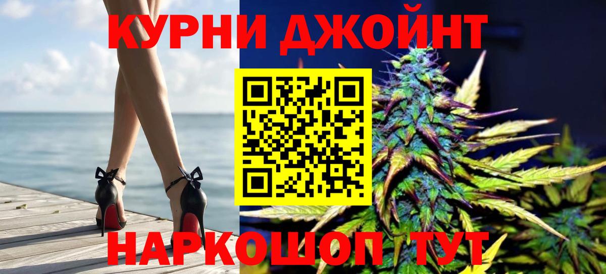Конопля ГИДРОПОН  Канабис гибрид  Пенза  Вход с VPN  Каннабис OG Kush 